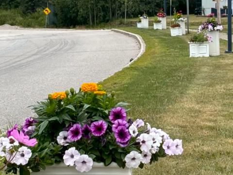 Embellissement floral de la localité de Radisson